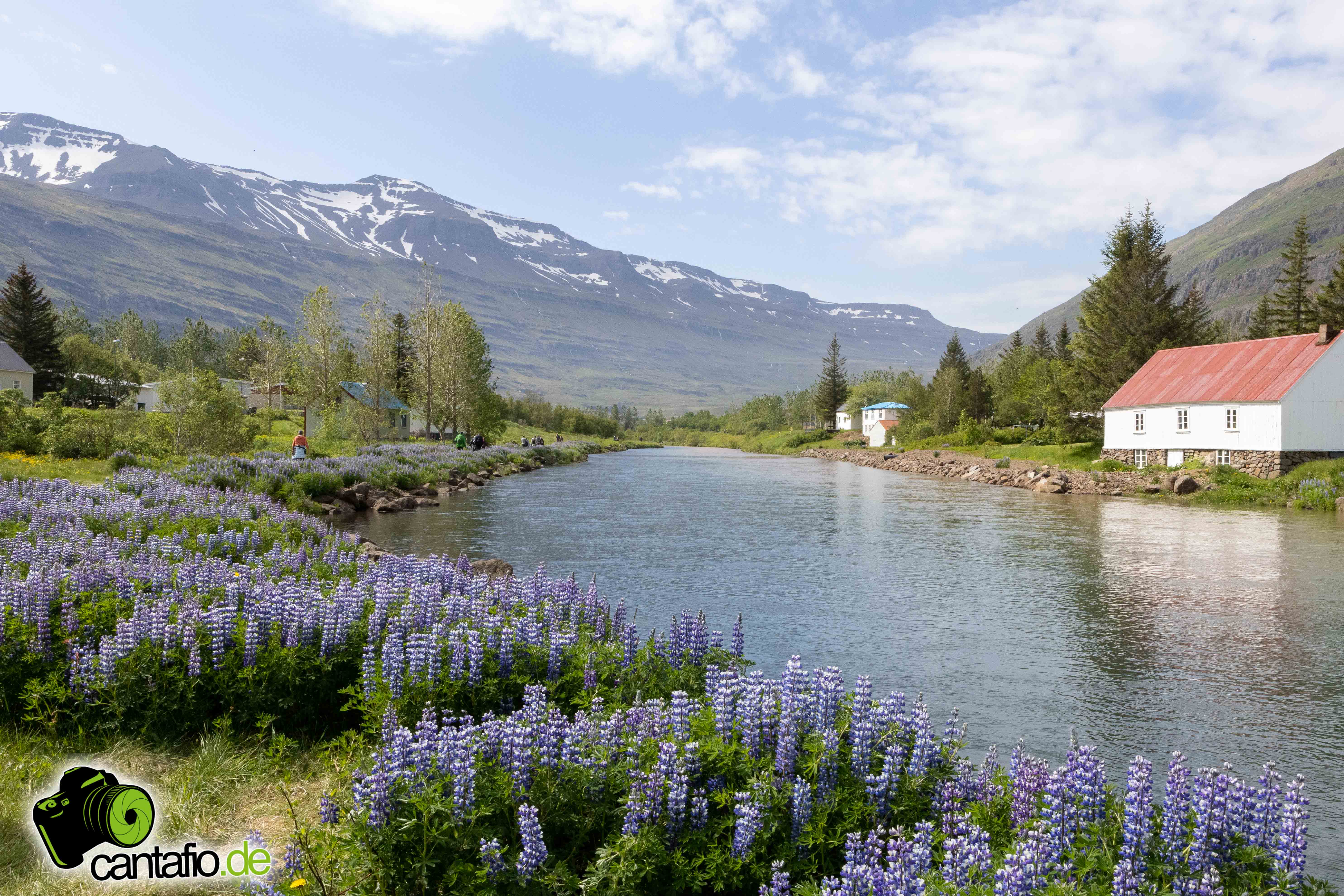 Island im Juni '2023