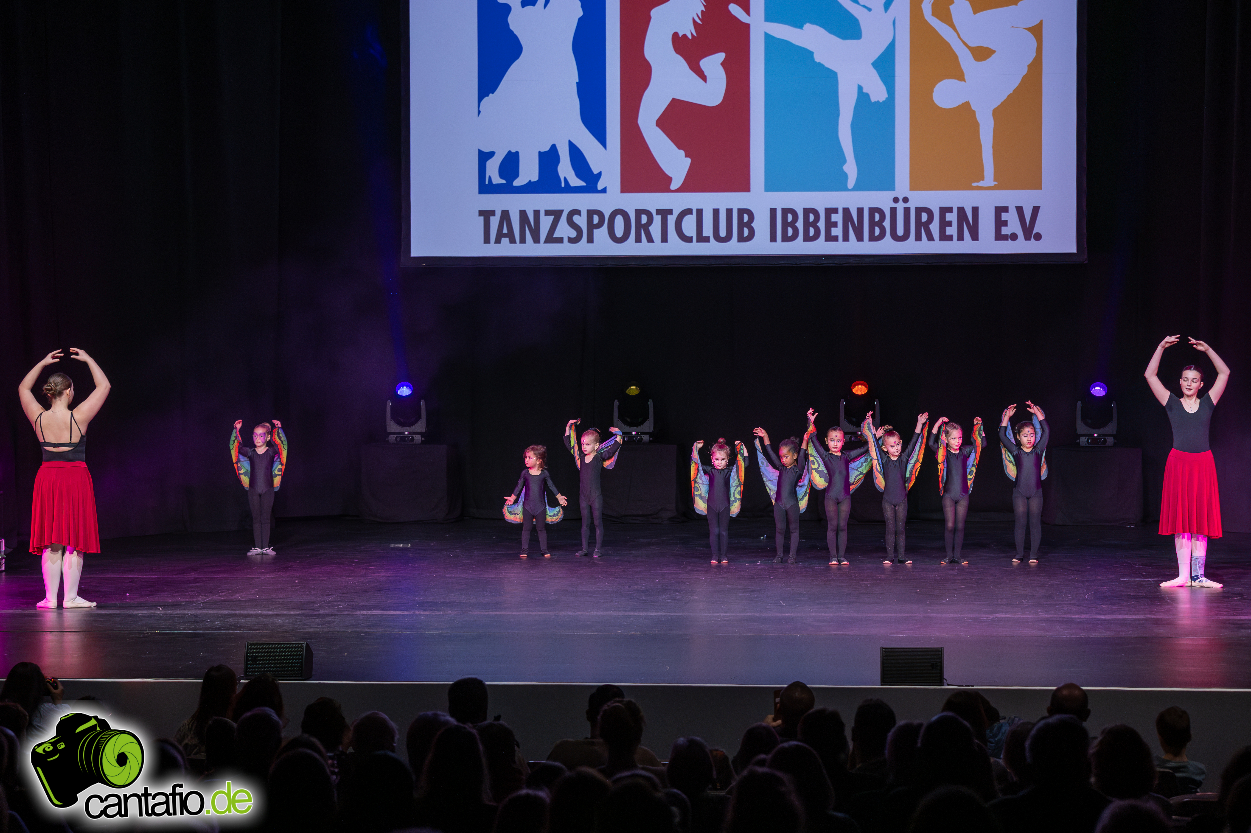  MG 1293 Verbessert RR